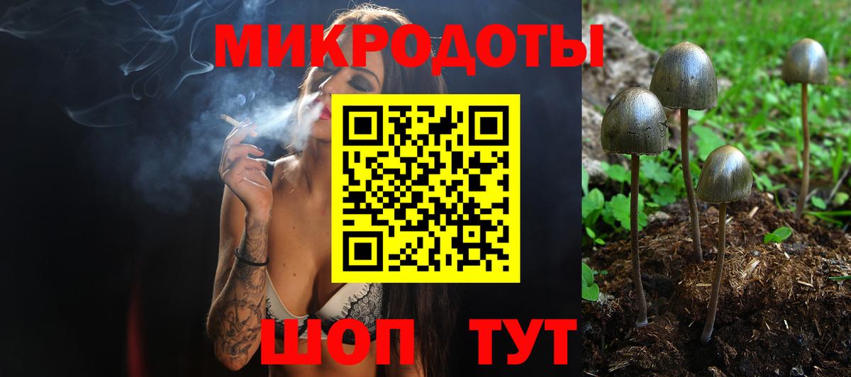 Галлюциногенные грибы прущие грибы Калининград
